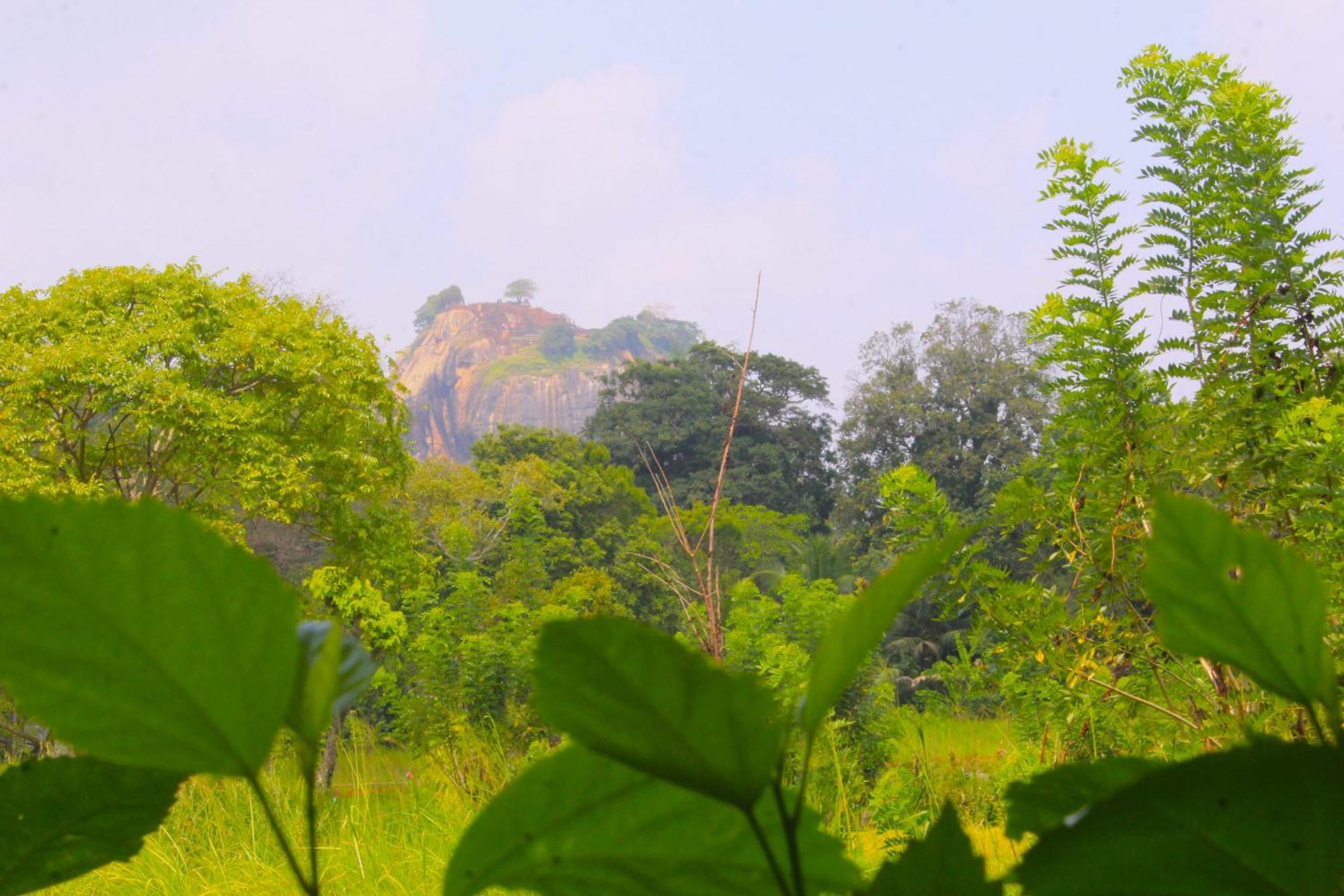 Sigiriya Palace View Exterior photo